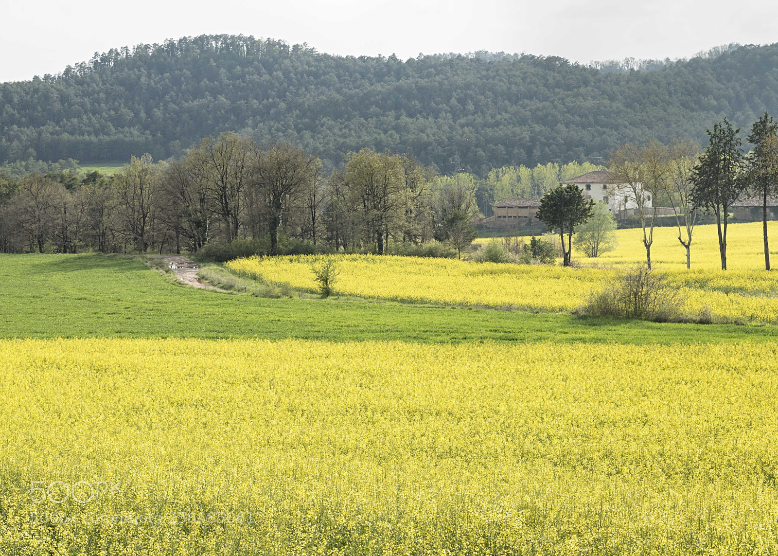 Canon EOS 6D Mark II sample photo. Landscapes of my land... photography