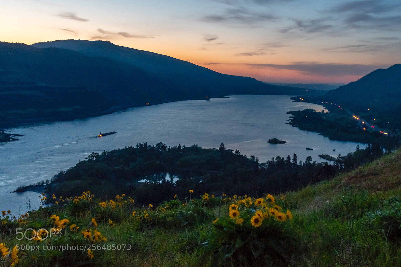 Nikon D500 sample photo. Rowena crest, dawn photography