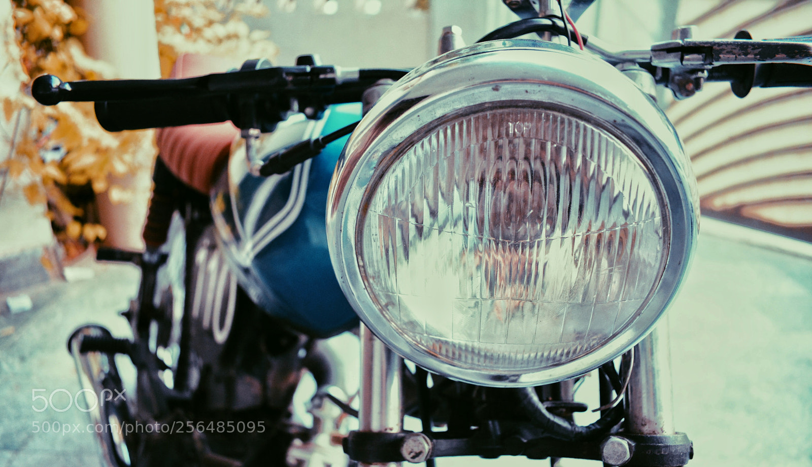 Nikon D5200 sample photo. Untitled photography