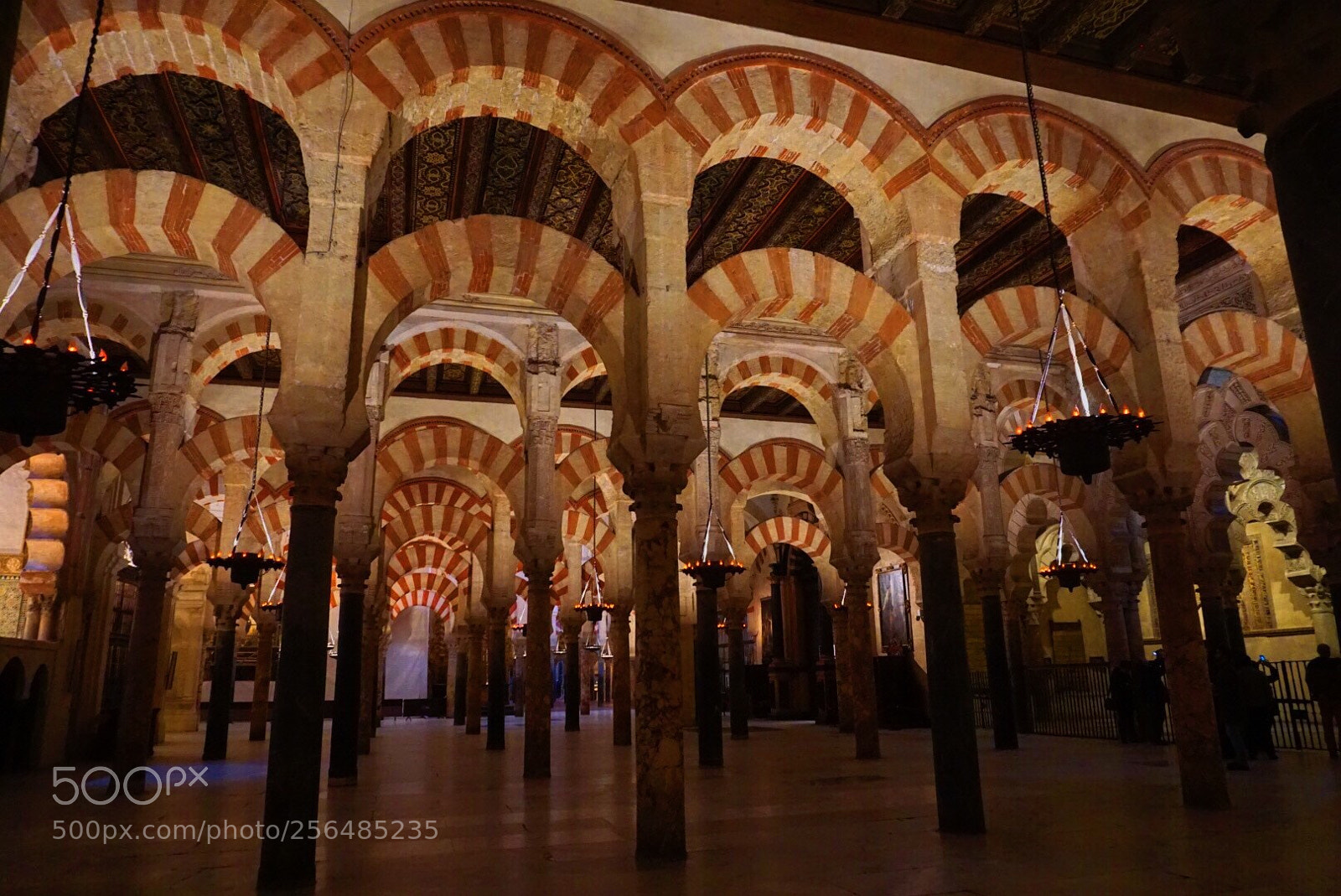 Sony a5100 sample photo. Mezquita (córdoba) photography