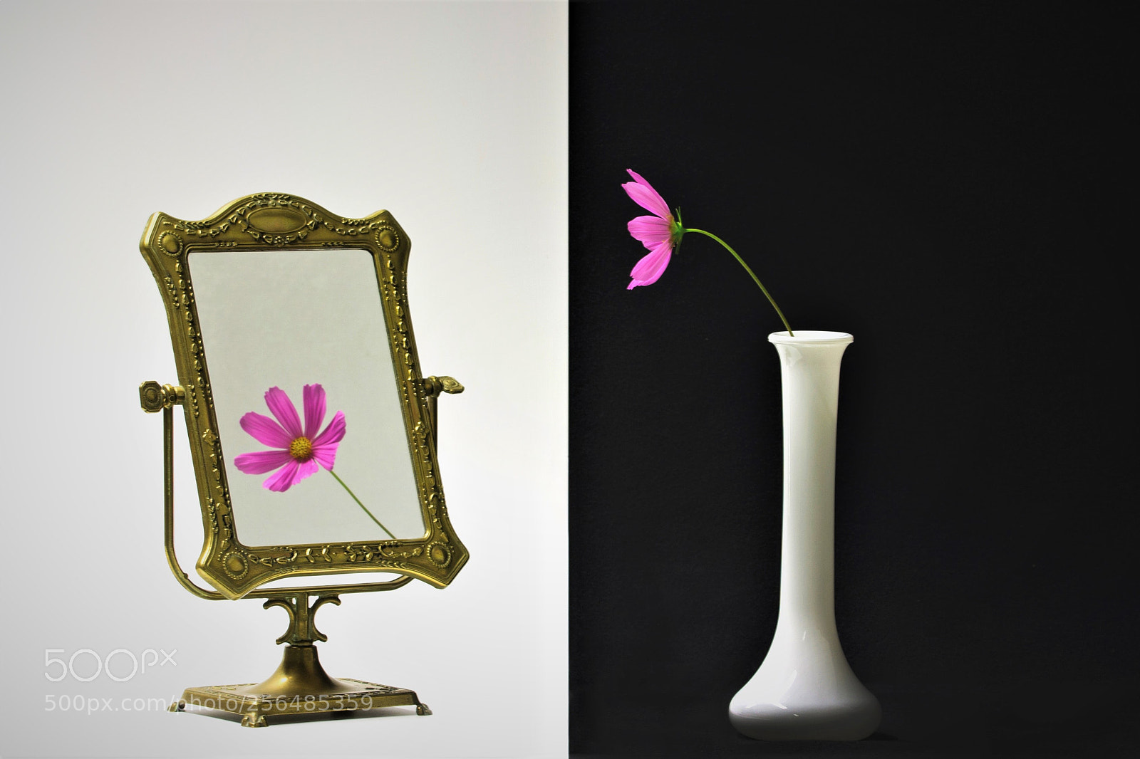 Canon EOS 1100D (EOS Rebel T3 / EOS Kiss X50) sample photo. Miroir photography