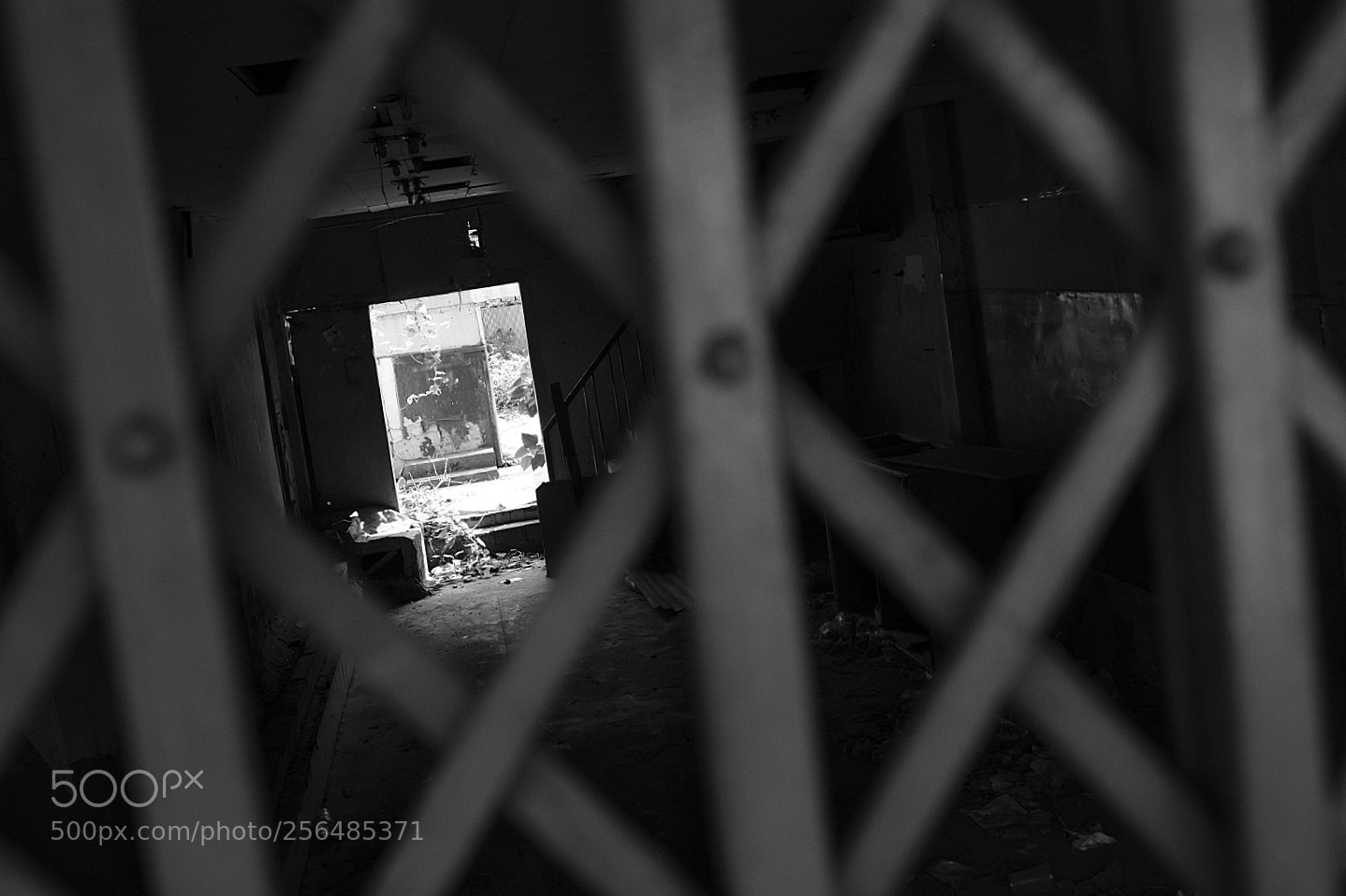 Fujifilm X-E3 sample photo. Untitled photography