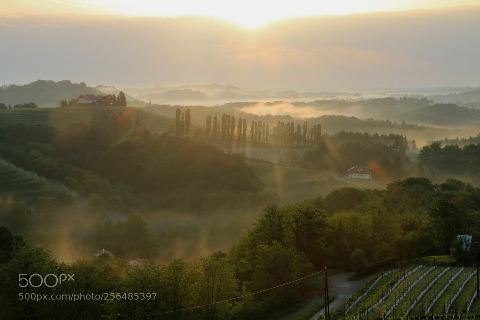 Canon EOS 70D sample photo. "breath-taking morning ii" photography