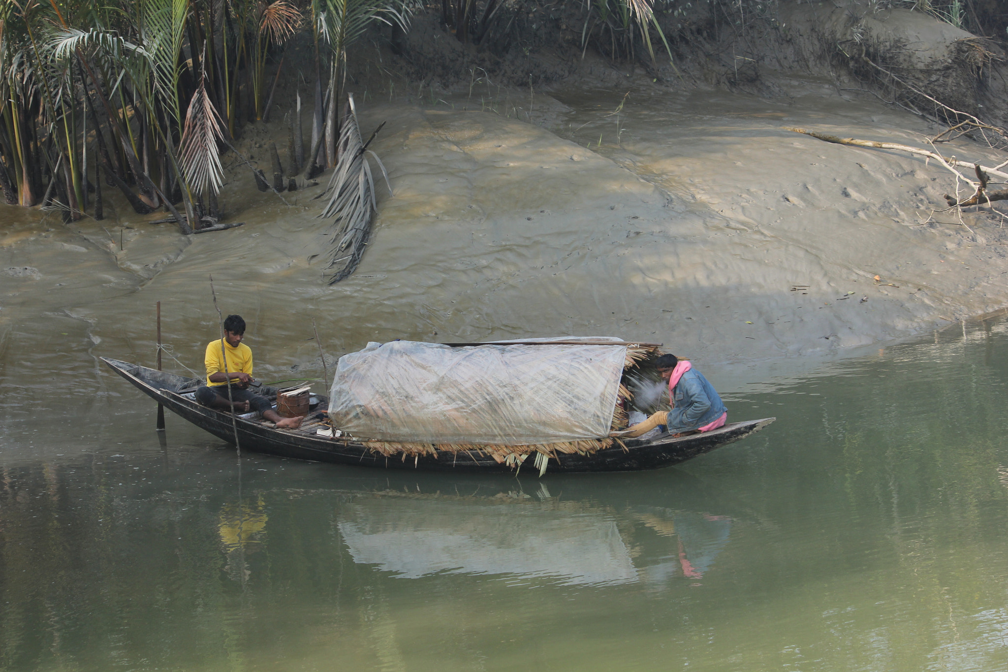 Canon EF-S 55-250mm F4-5.6 IS II sample photo. Life in the mangrove forest photography
