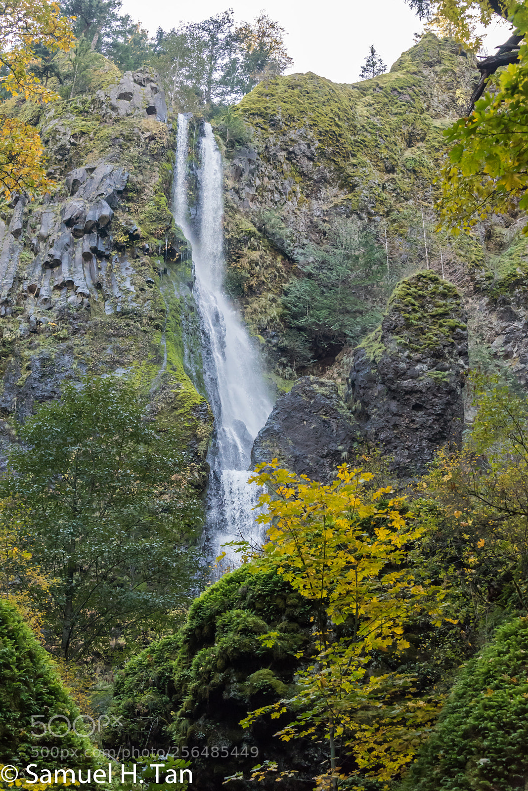 Nikon D750 sample photo. Starvation creek falls photography
