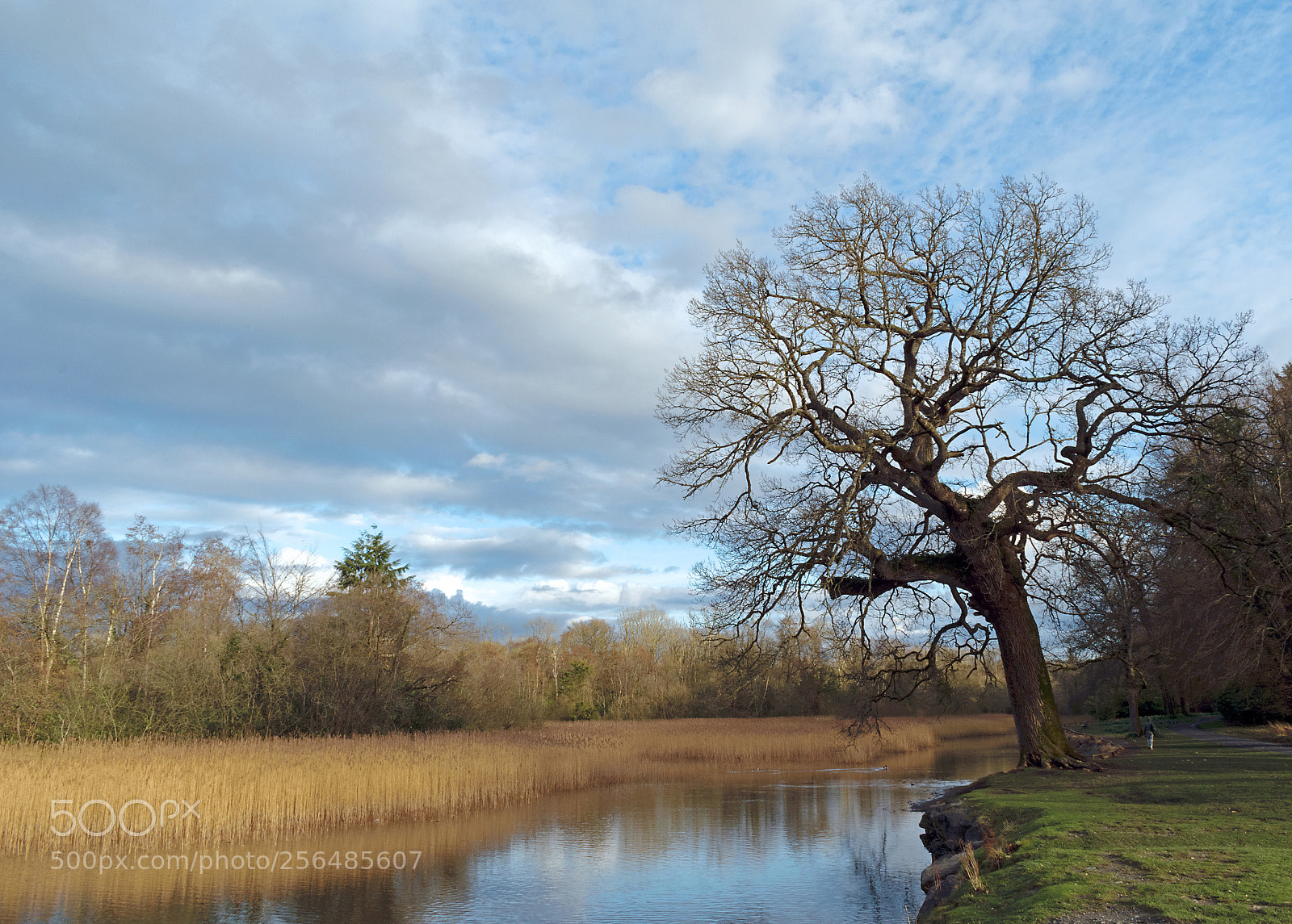 Nikon D3300 sample photo. Silence land photography