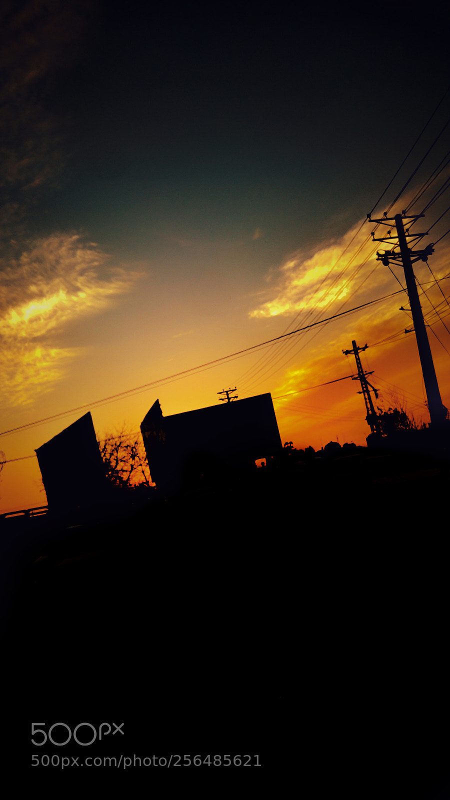 LG G4 sample photo. Untitled photography