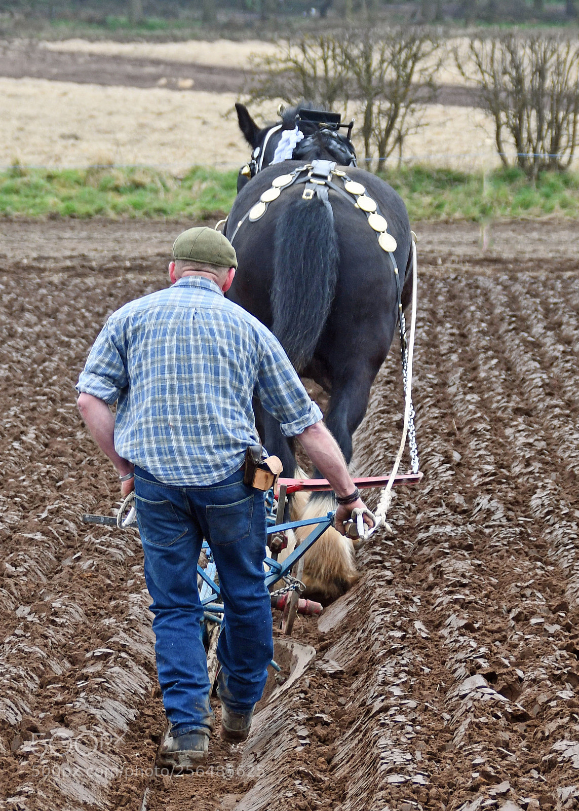 Nikon D7500 sample photo. The ploughman photography