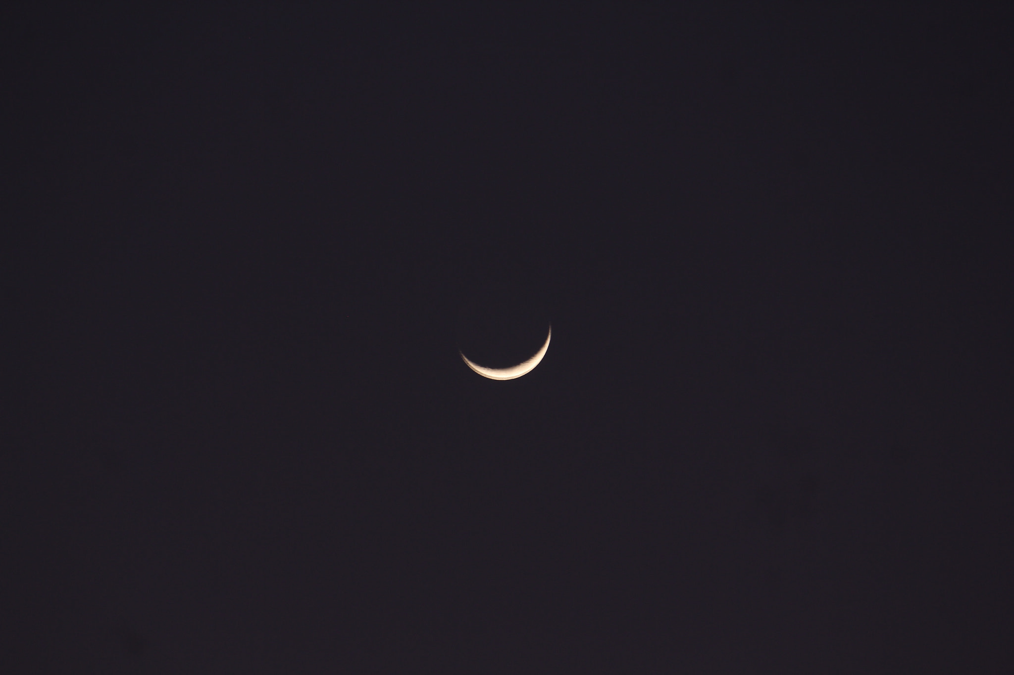 Canon EF-S 55-250mm F4-5.6 IS II sample photo. Half moon photography