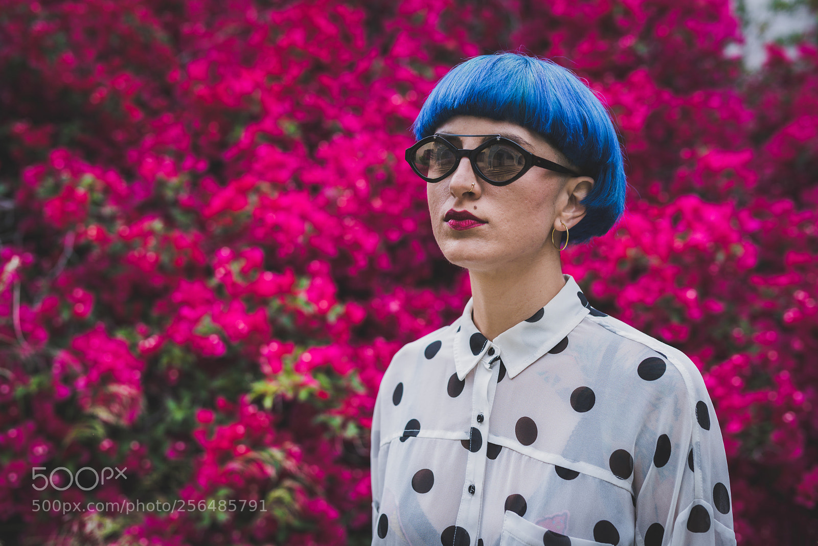 Nikon D810 sample photo. Feeling blue photography