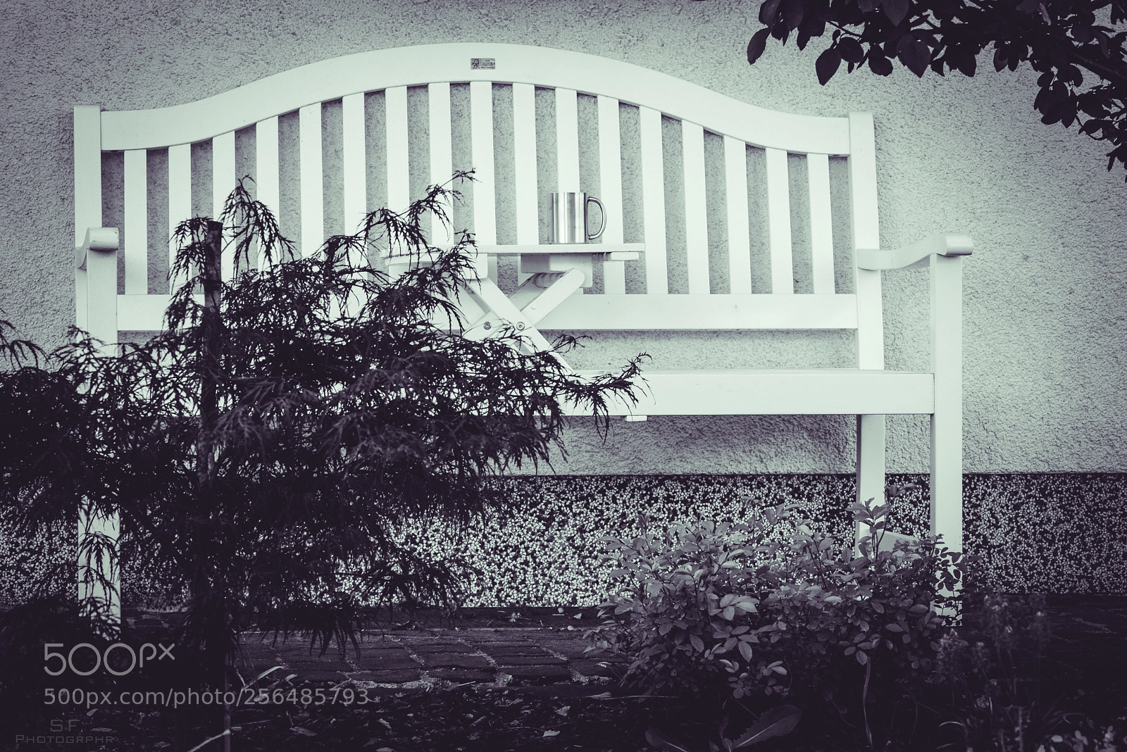 Nikon D750 sample photo. Home - 124 365 photography