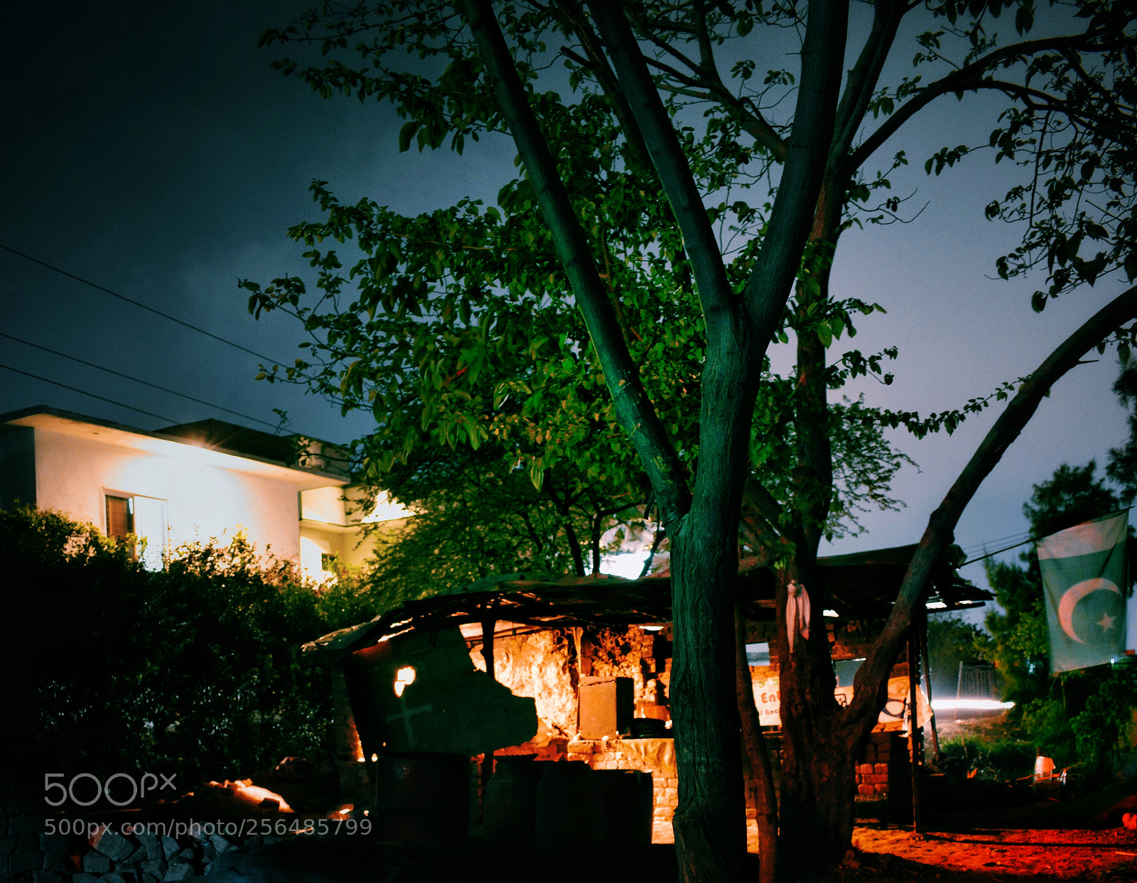 Nikon D5200 sample photo. Untitled photography