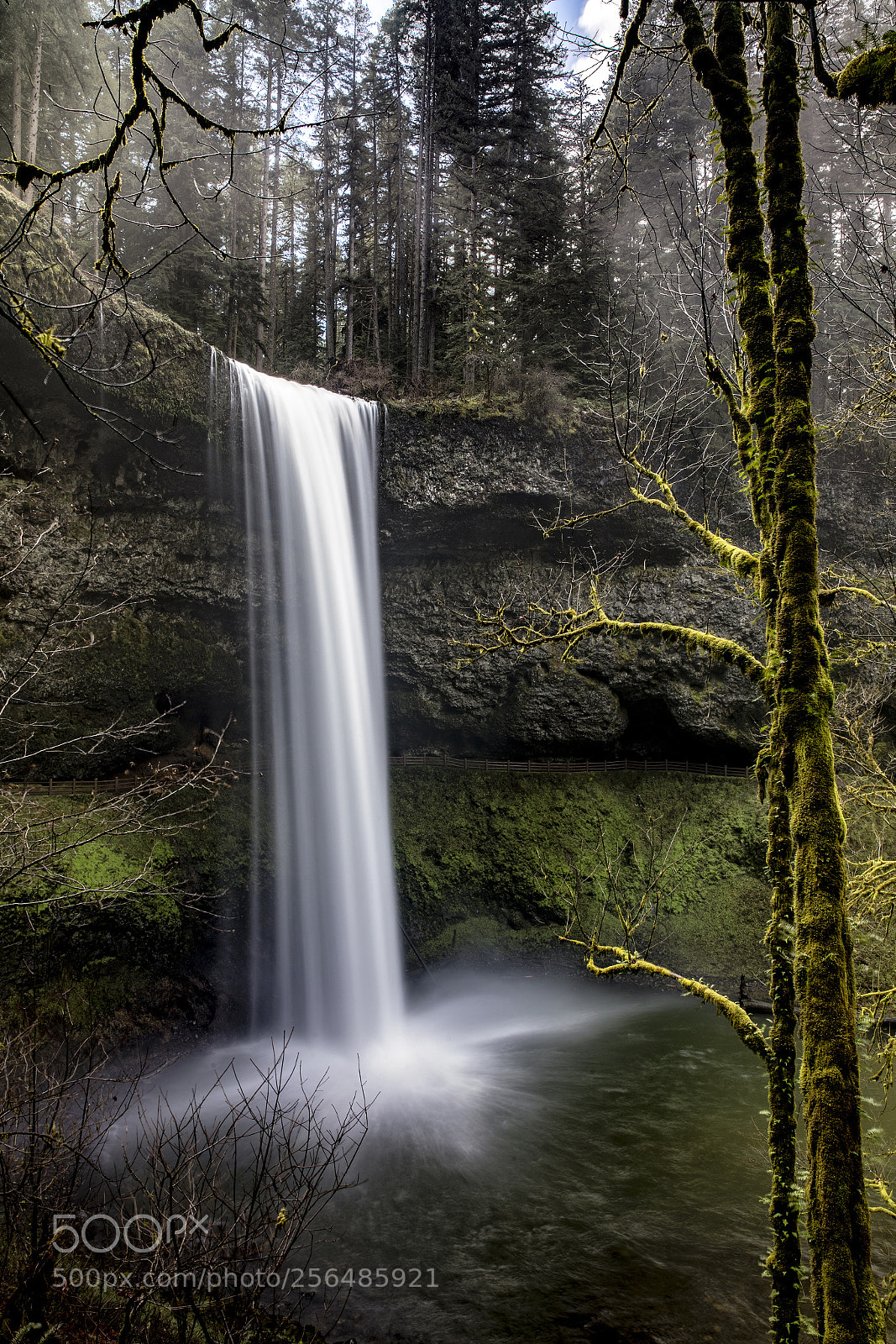 Canon EOS-1D X Mark II sample photo. Silver falls early morning photography