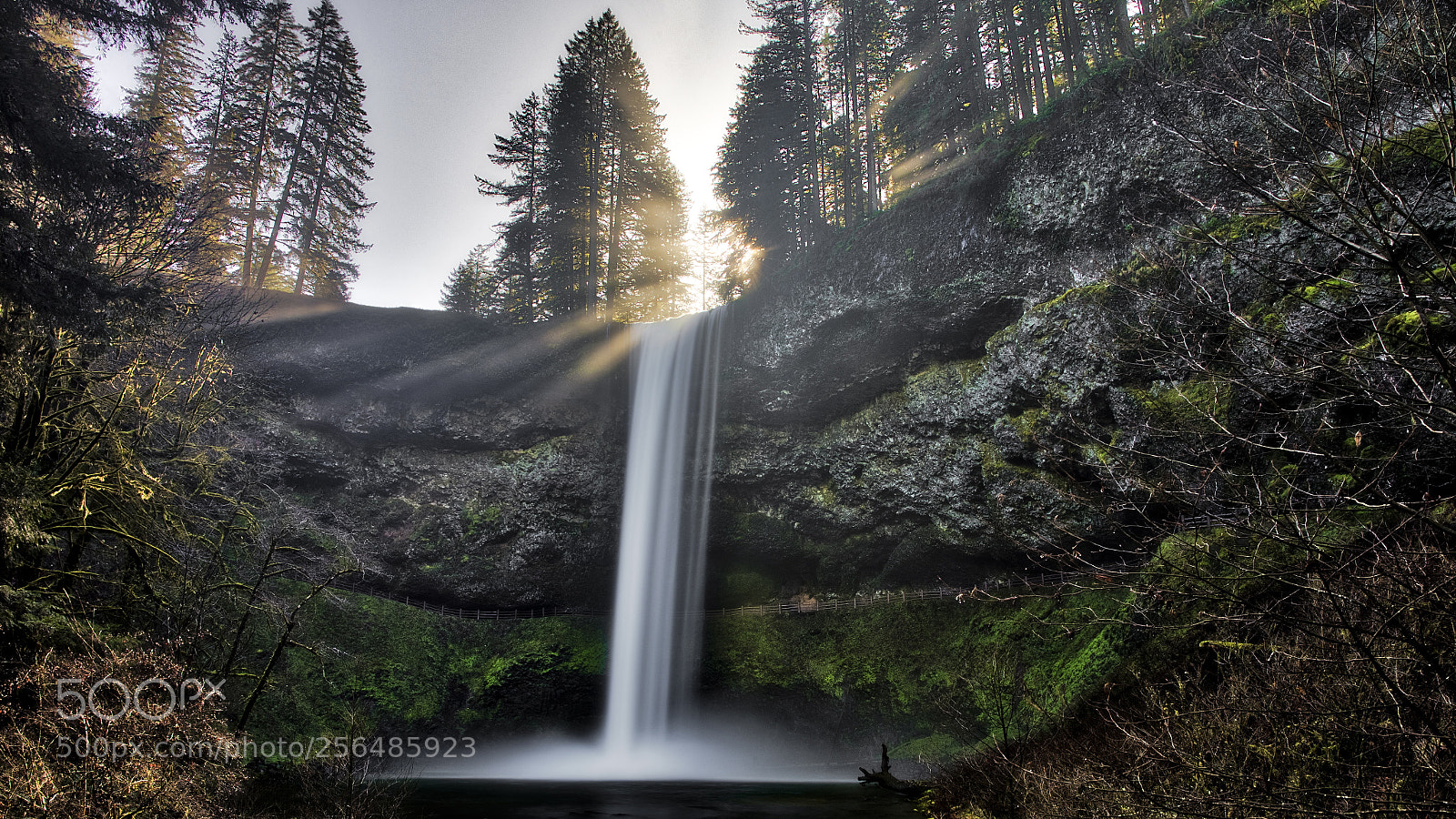 Canon EOS-1D X Mark II sample photo. Silver falls, morning sun photography