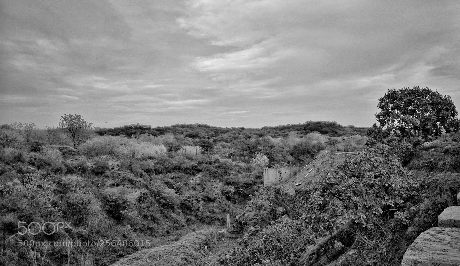 Nikon D5200 sample photo. Untitled photography