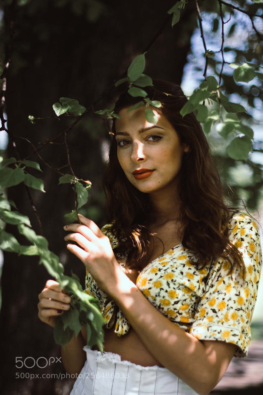 Nikon D5200 sample photo. In the woods photography