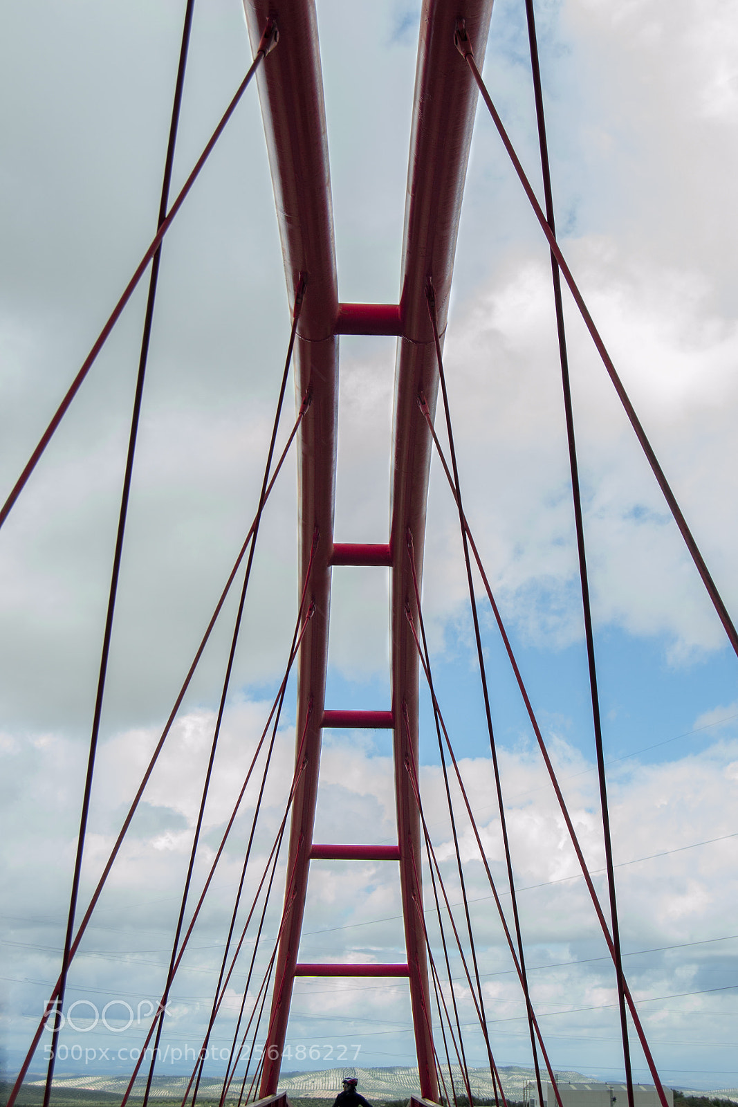 Nikon D3100 sample photo. Bridge photography