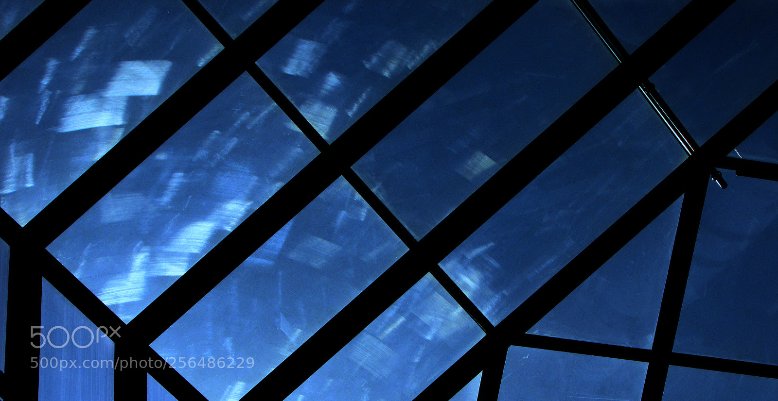 Canon PowerShot SX400 IS sample photo. My blue poetry photography