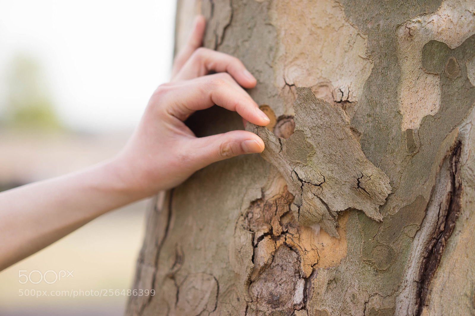 Sony a7 sample photo. - photography