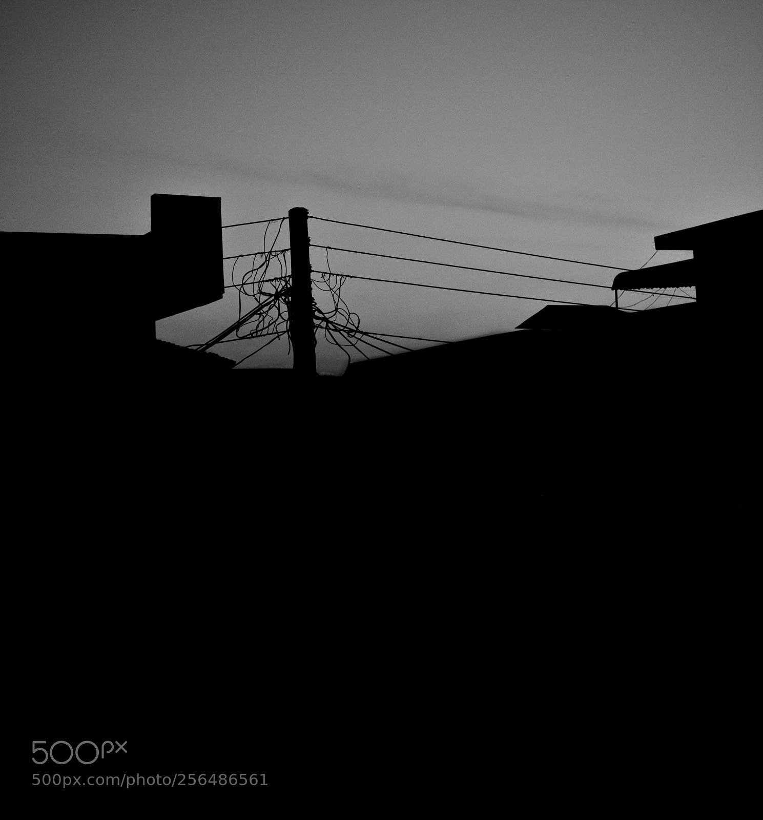 Nikon D5200 sample photo. Untitled photography