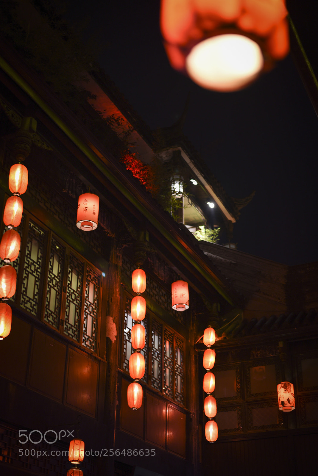 Nikon D750 sample photo. Cd-night photography