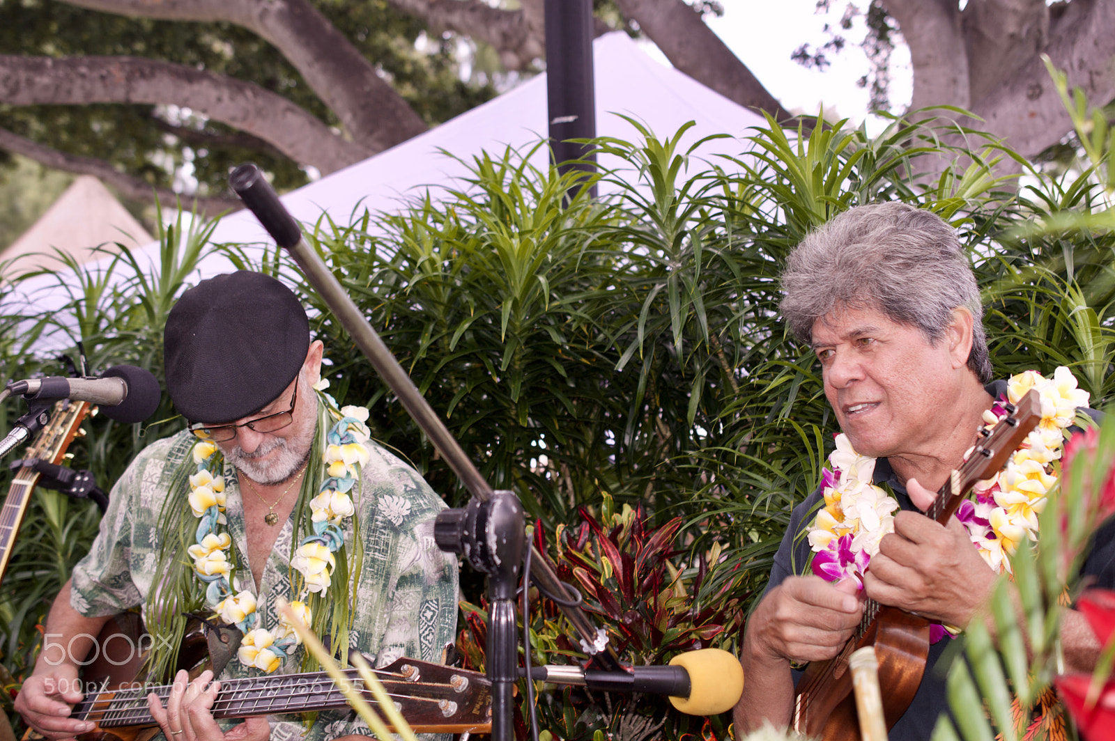 Nikon D3200 sample photo. May day is lei photography