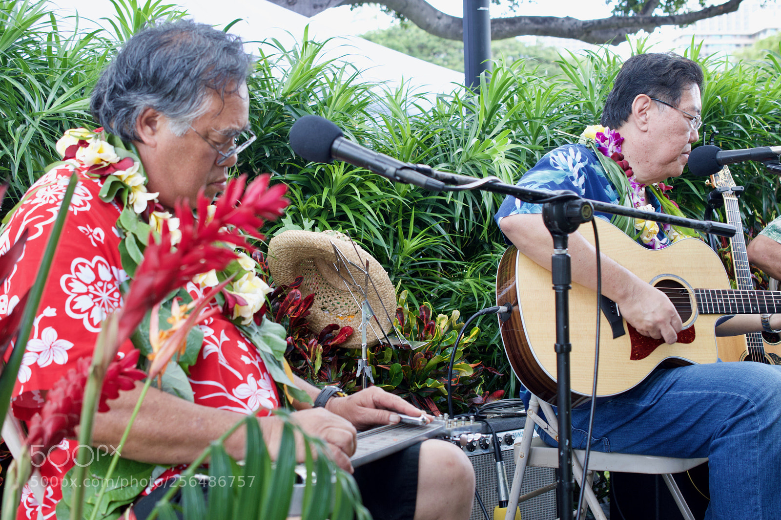 Nikon D3200 sample photo. May day is lei photography