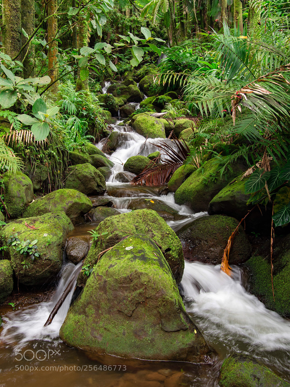 Olympus OM-D E-M5 sample photo. Big island hawaii waterfall photography