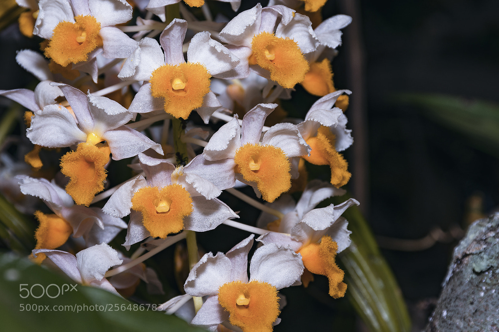 Nikon D3400 sample photo. Untitled photography