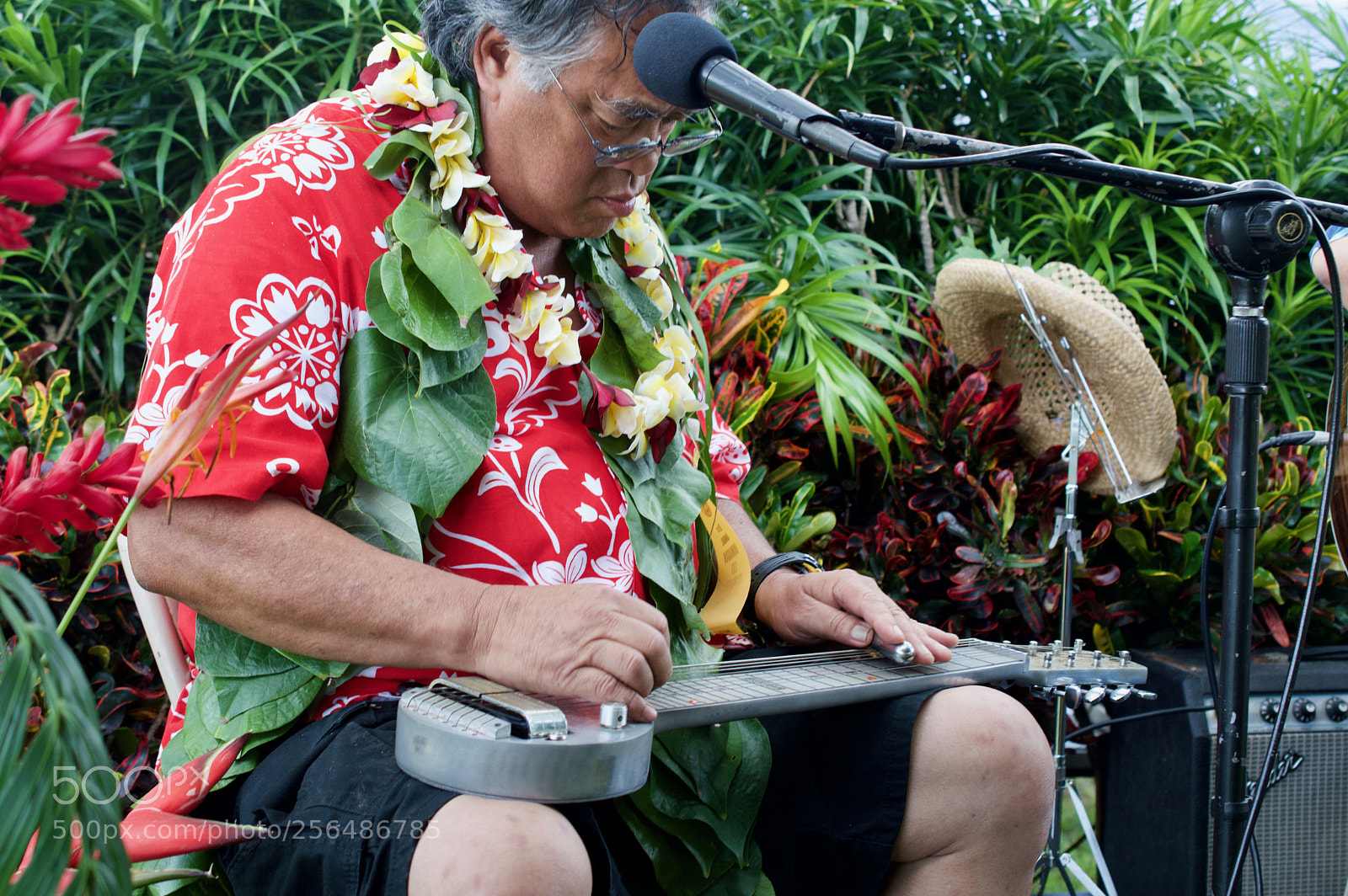 Nikon D3200 sample photo. May day is lei photography