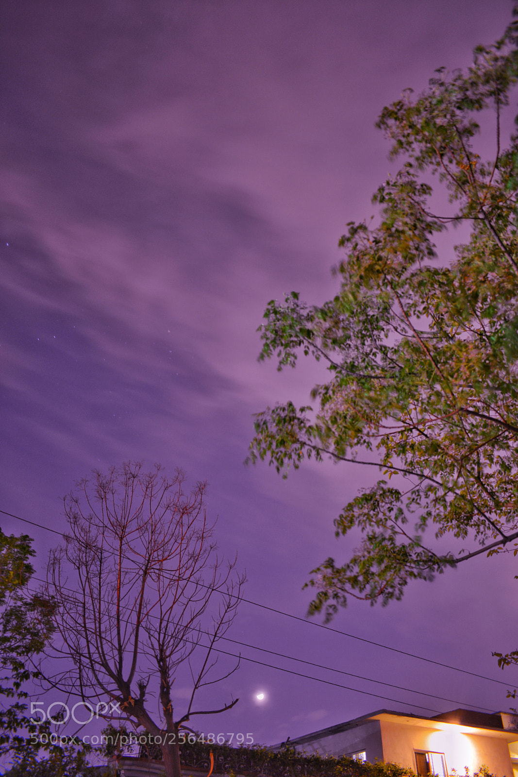 Nikon D5200 sample photo. Untitled photography