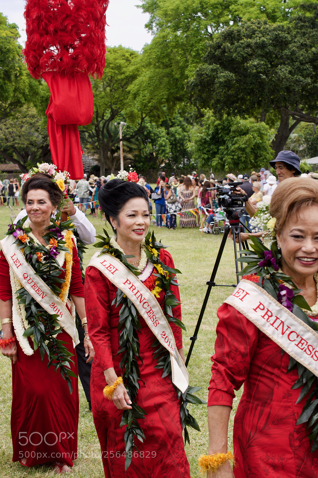 Nikon D3200 sample photo. May day is lei photography