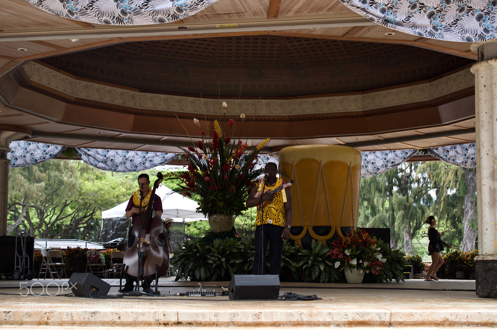 Nikon D3200 sample photo. May day is lei photography