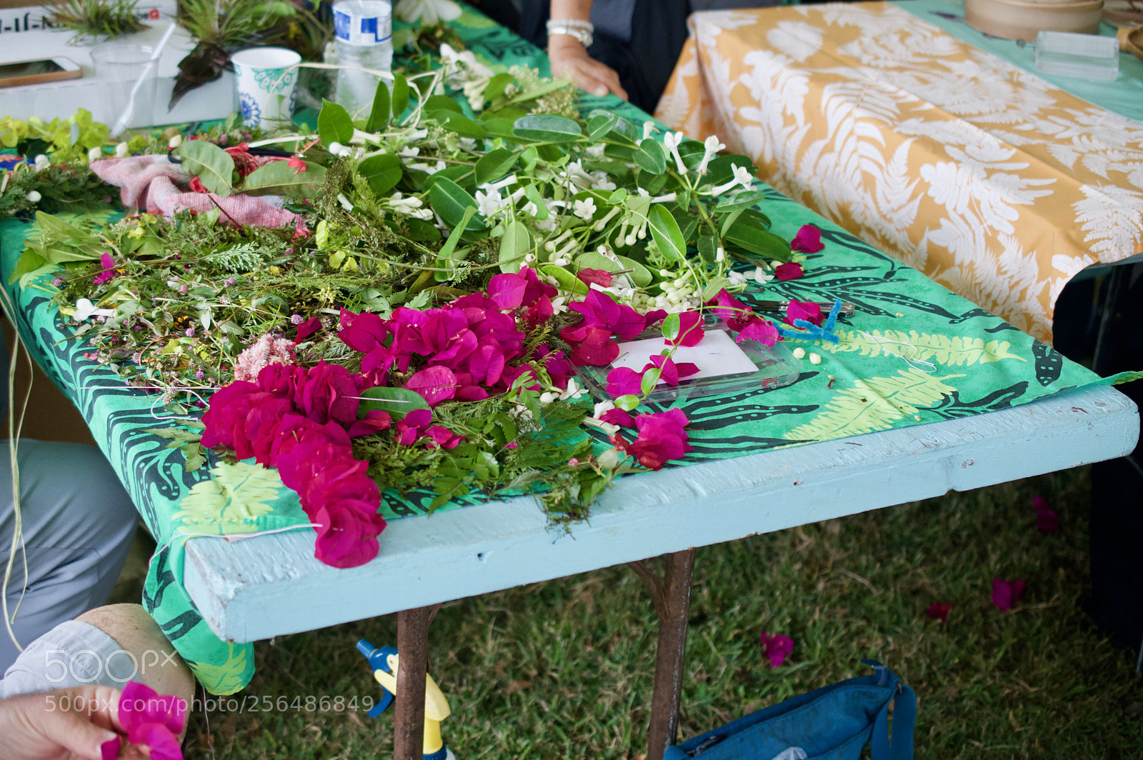 Nikon D3200 sample photo. May day is lei photography