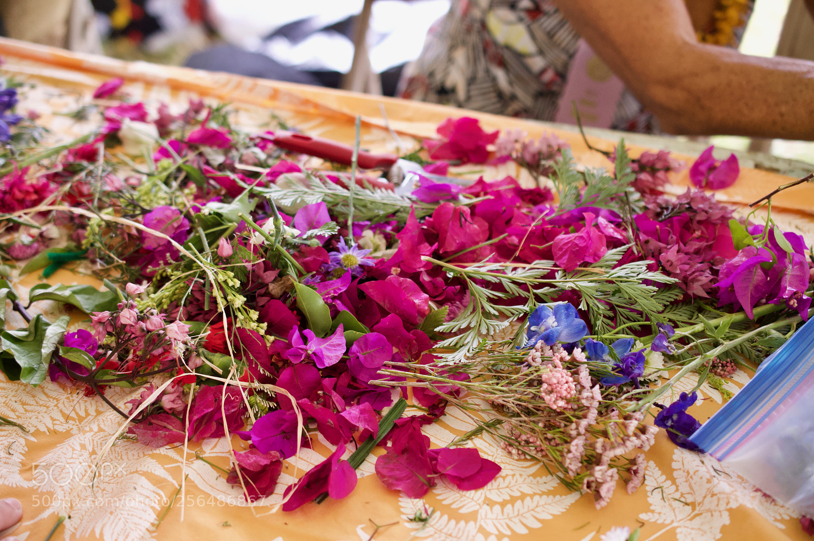 Nikon D3200 sample photo. May day is lei photography