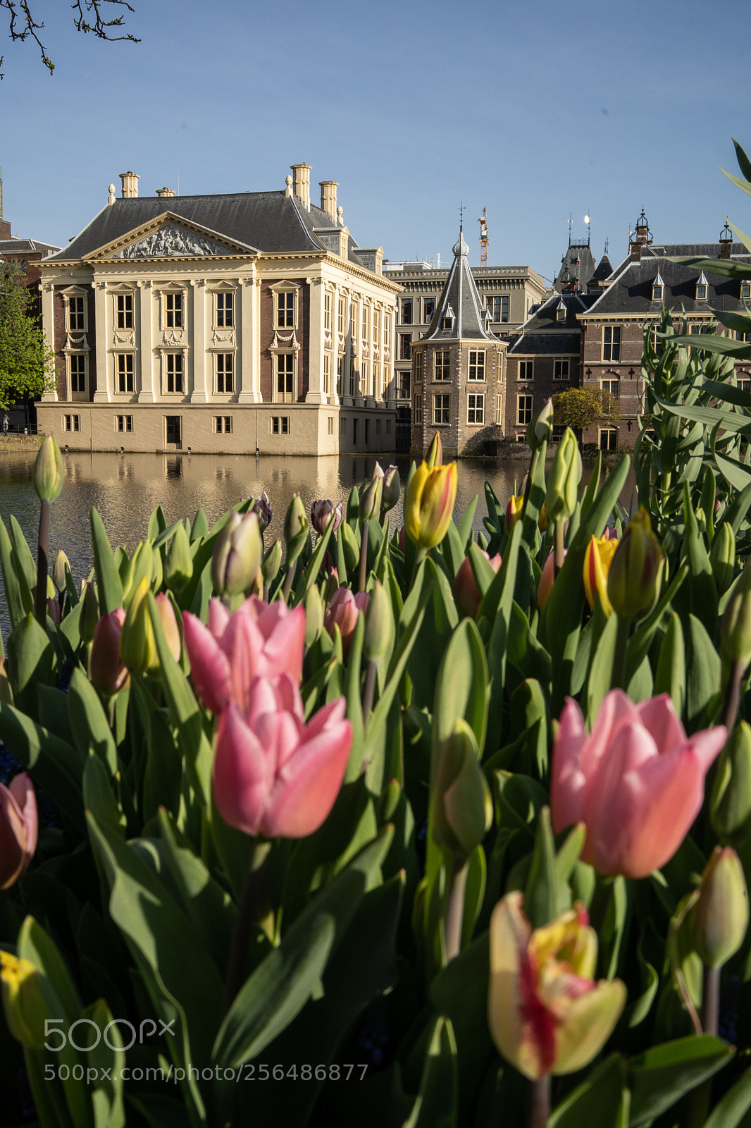 Sony a7 III sample photo. The hague photography