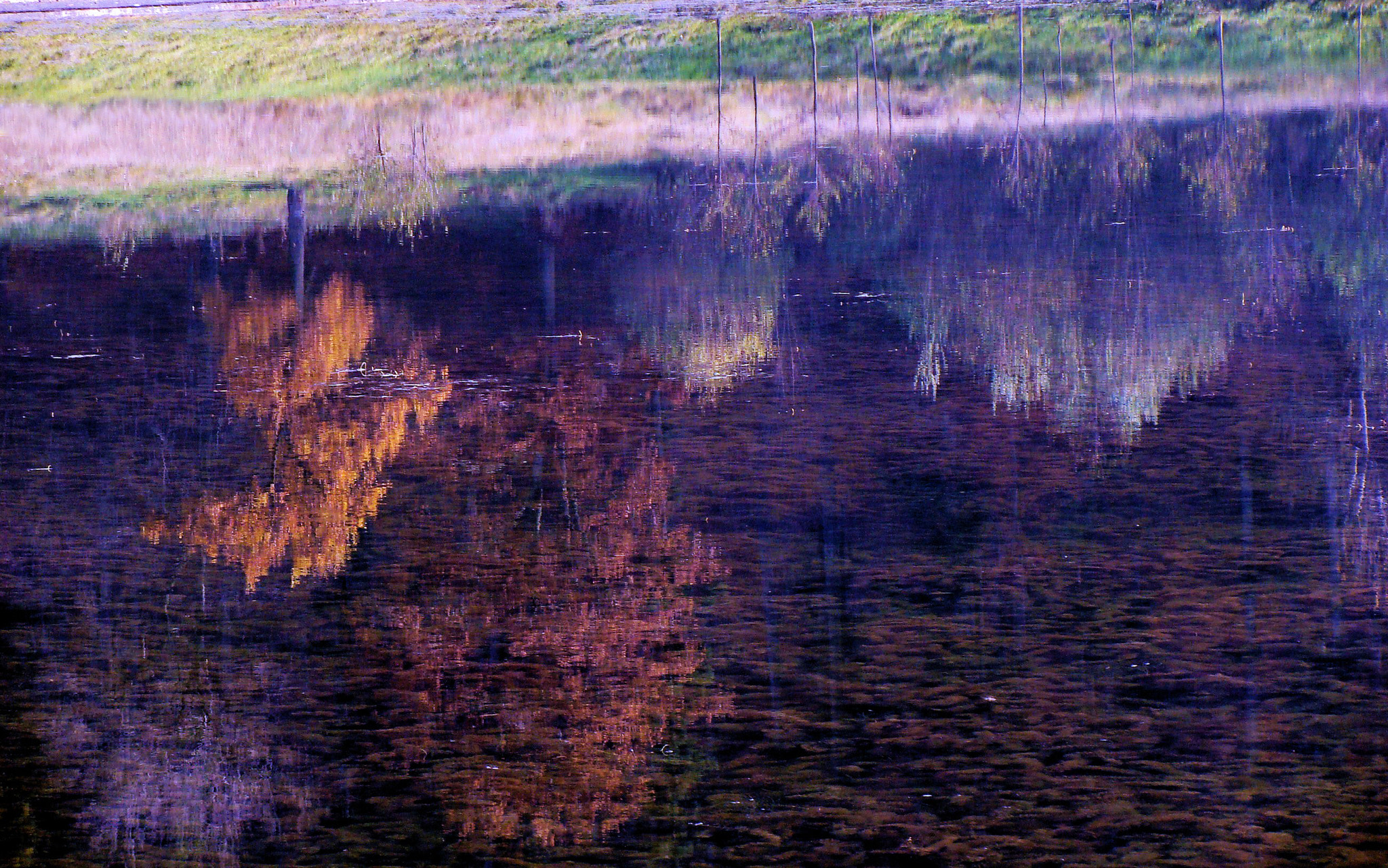 Sony DSC-H3 sample photo. A world upside down photography