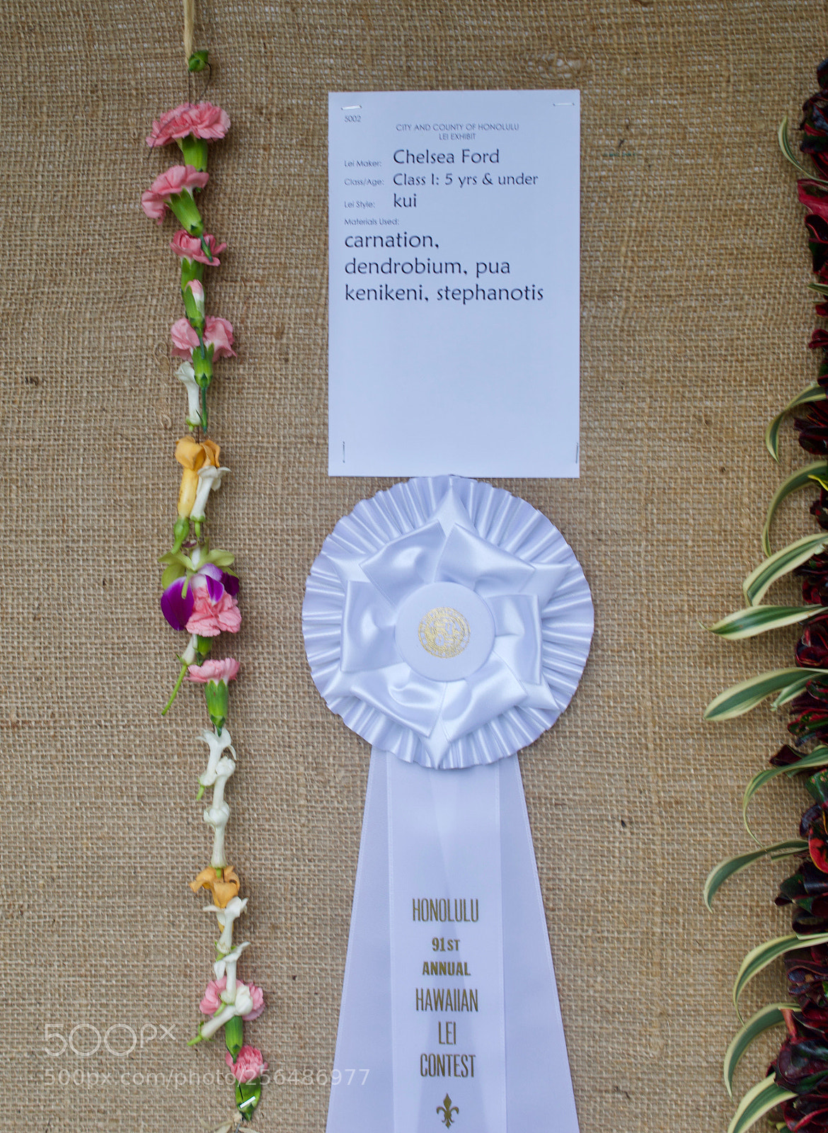 Nikon D3200 sample photo. May day is lei photography