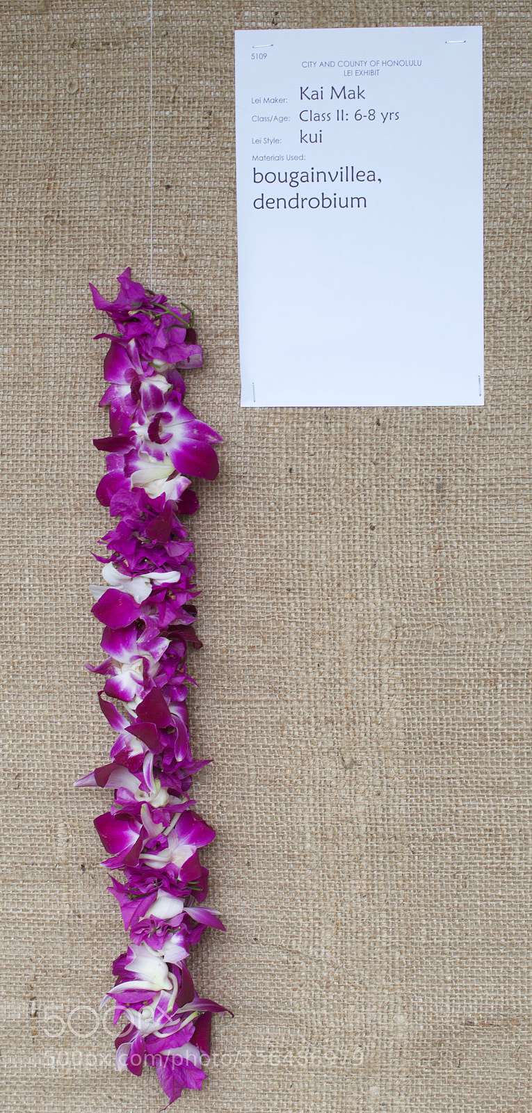 Nikon D3200 sample photo. May day is lei photography