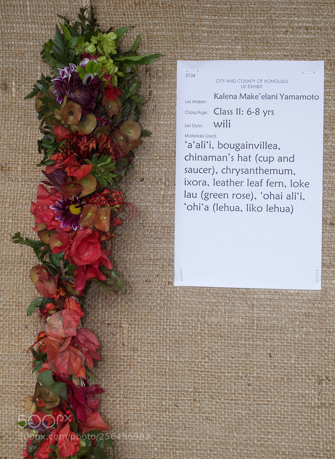 Nikon D3200 sample photo. May day is lei photography