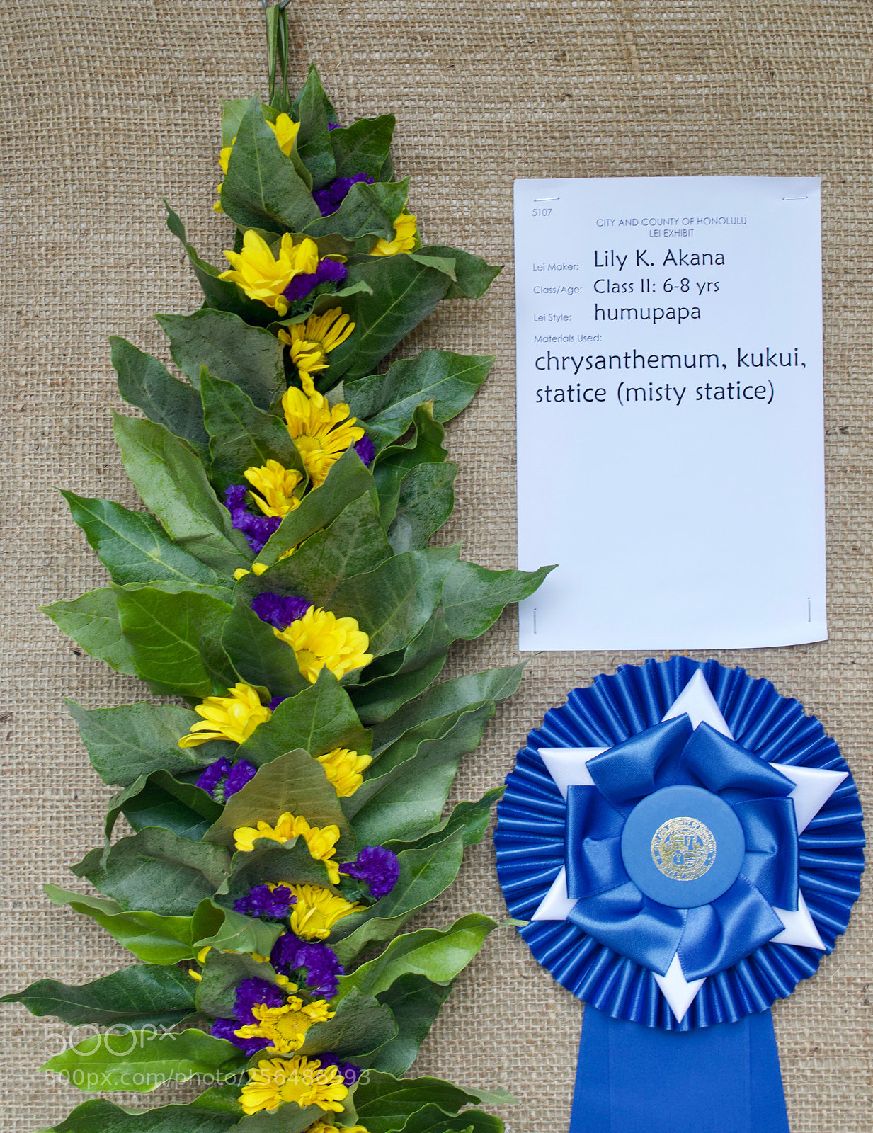 Nikon D3200 sample photo. May day is lei photography