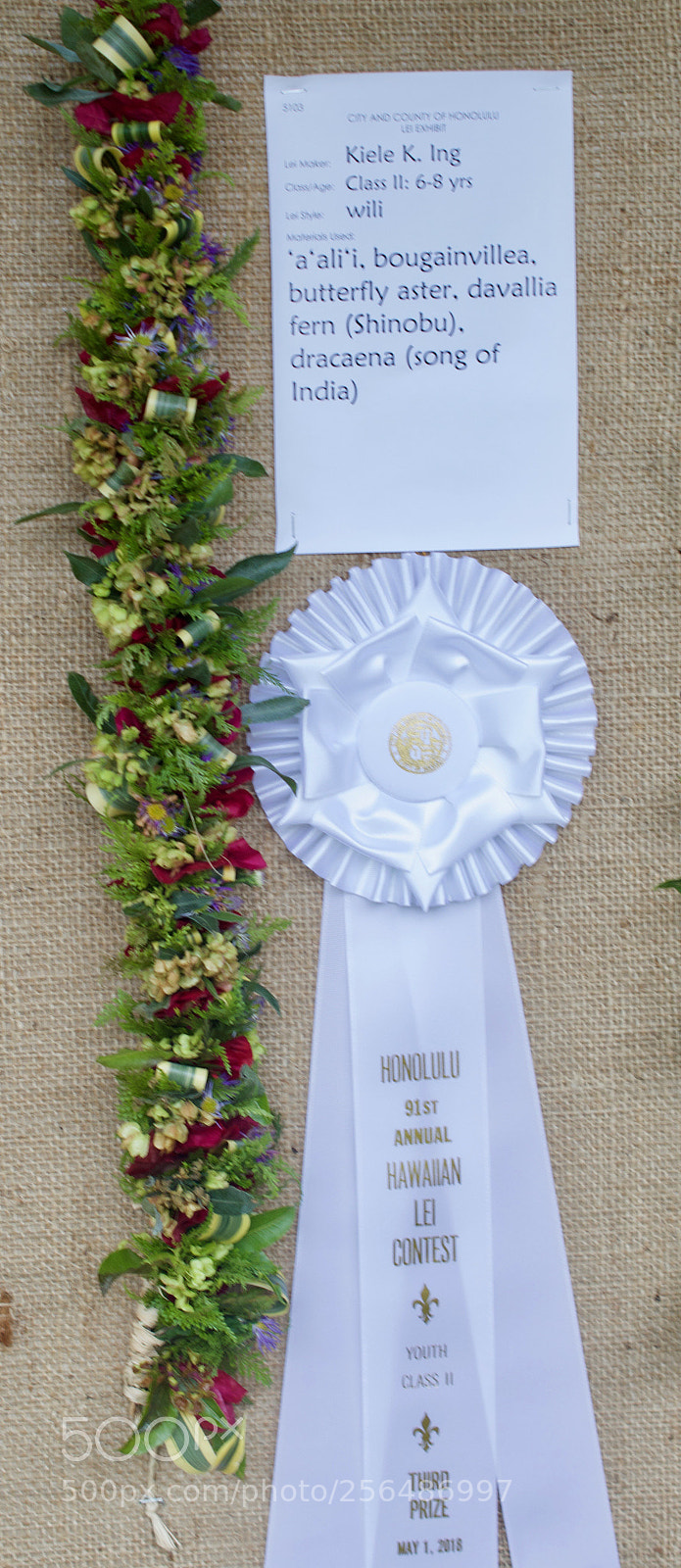 Nikon D3200 sample photo. May day is lei photography