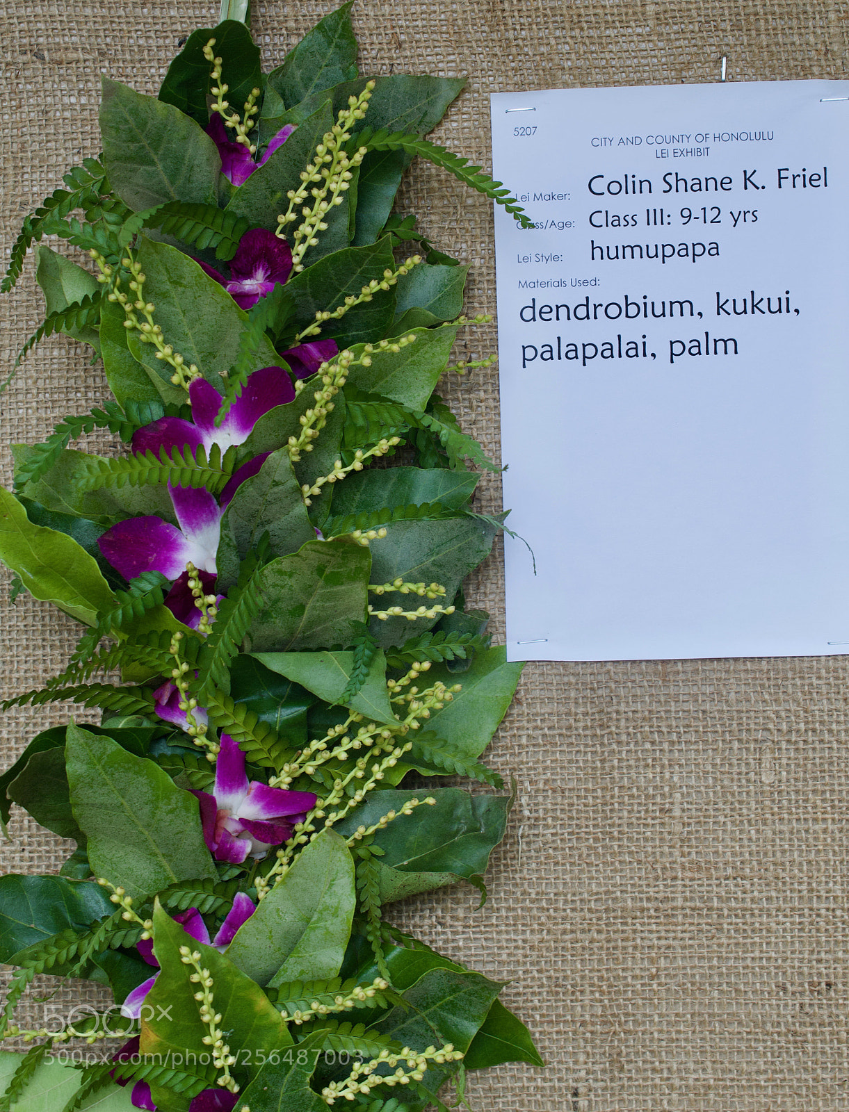 Nikon D3200 sample photo. May day is lei photography