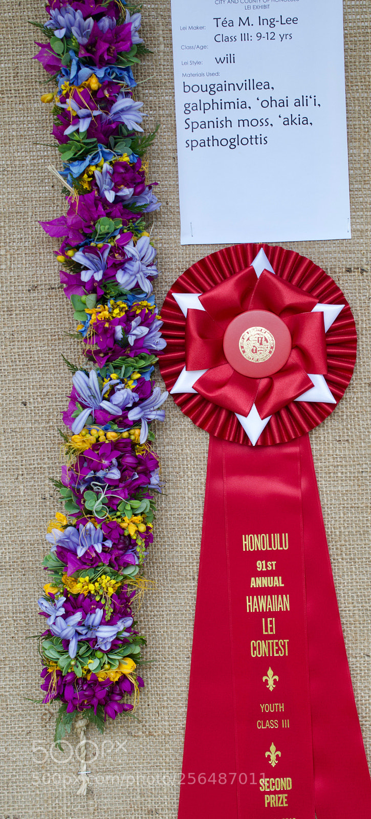 Nikon D3200 sample photo. May day is lei photography