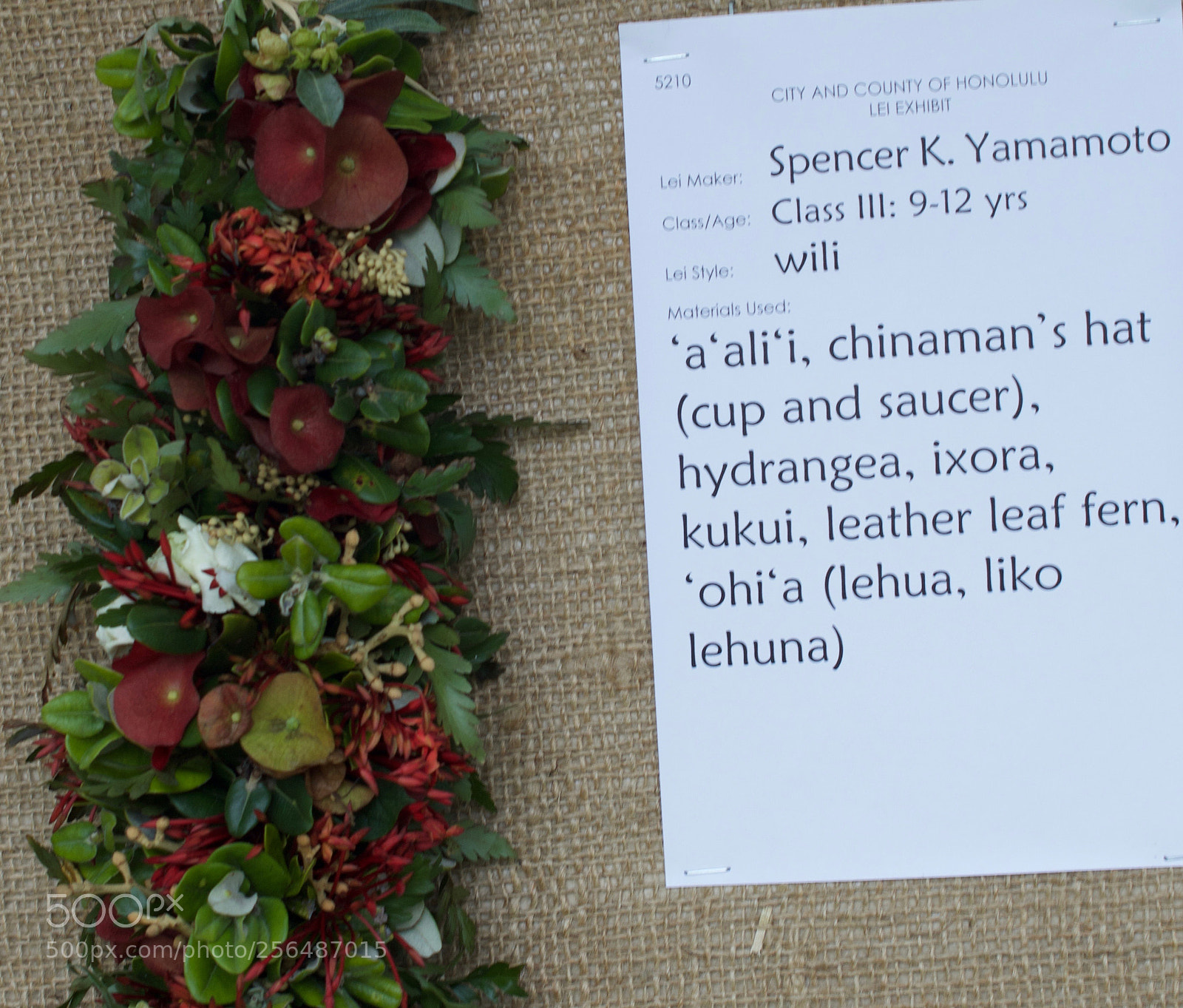 Nikon D3200 sample photo. May day is lei photography