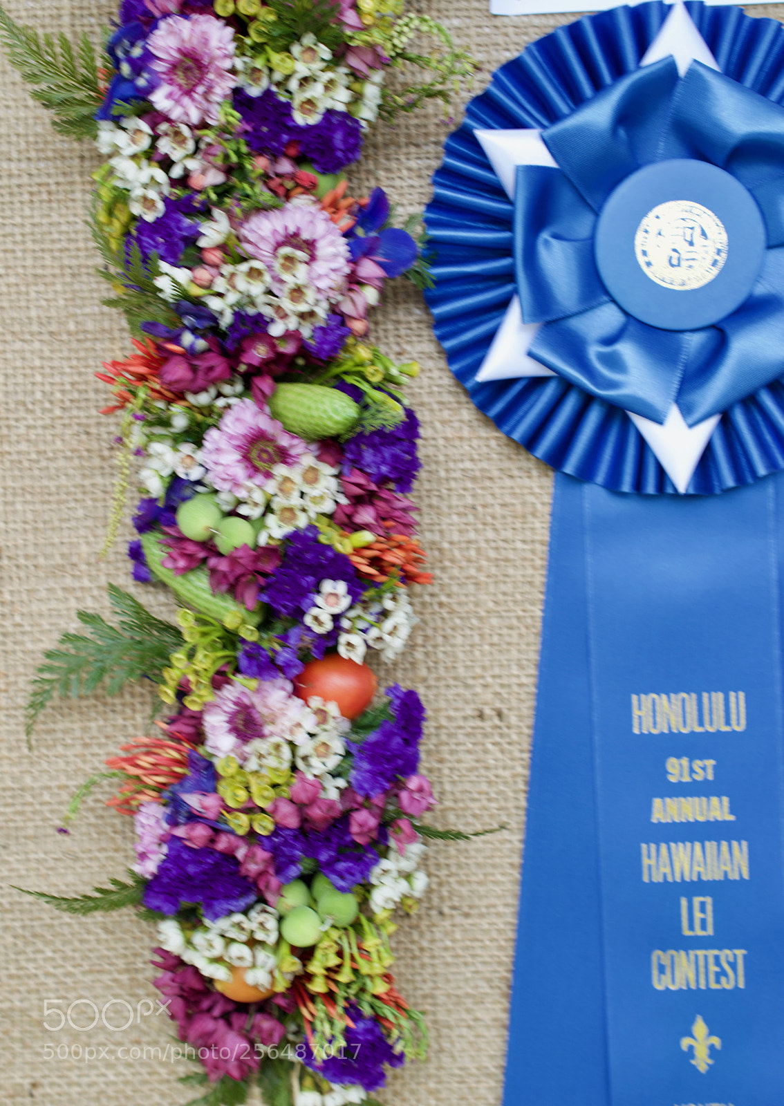 Nikon D3200 sample photo. May day is lei photography