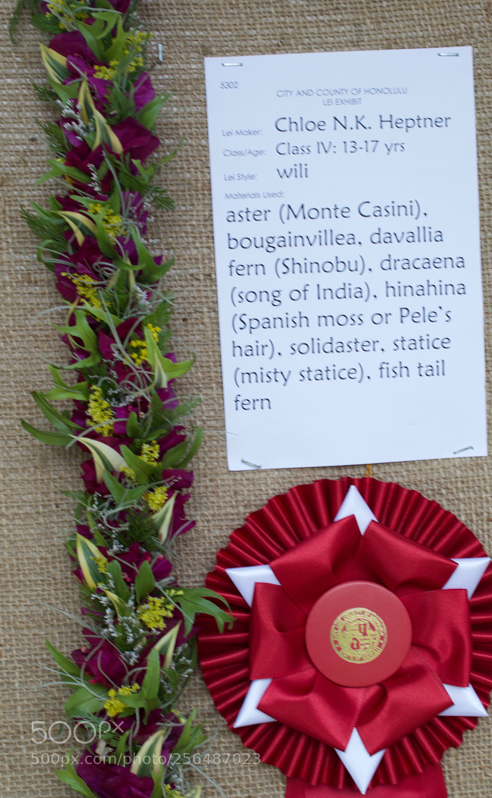 Nikon D3200 sample photo. May day is lei photography