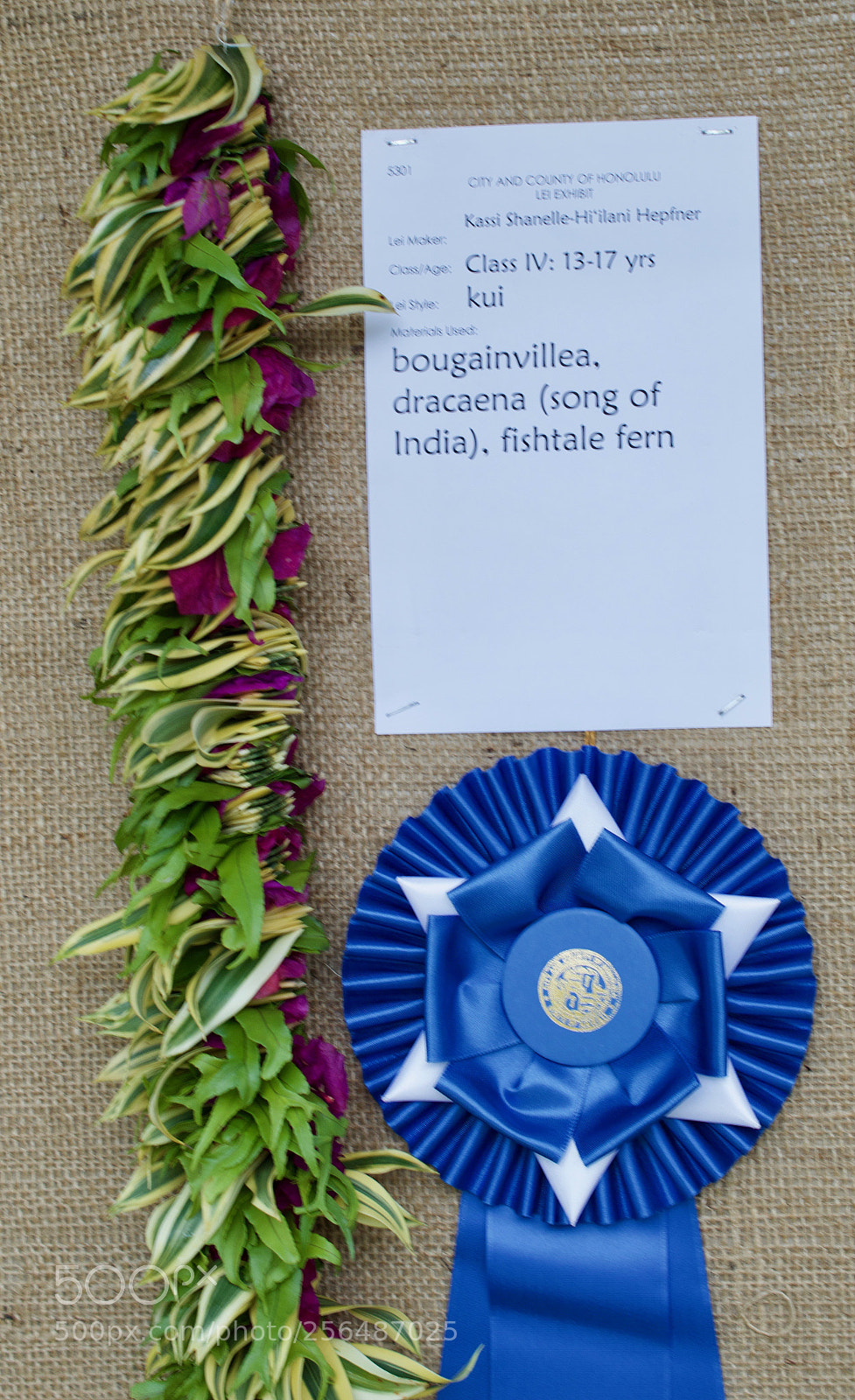 Nikon D3200 sample photo. May day is lei photography