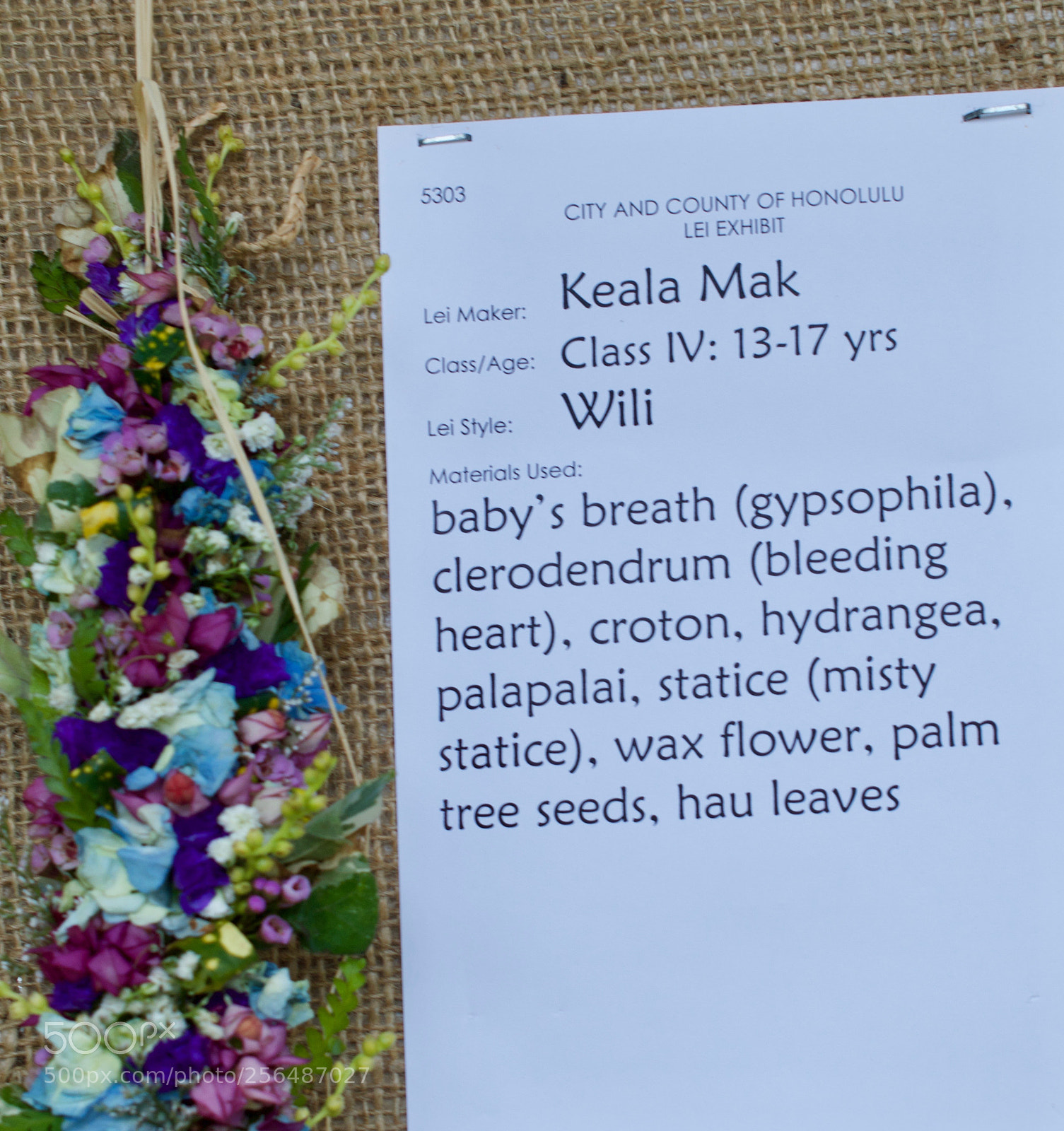 Nikon D3200 sample photo. May day is lei photography