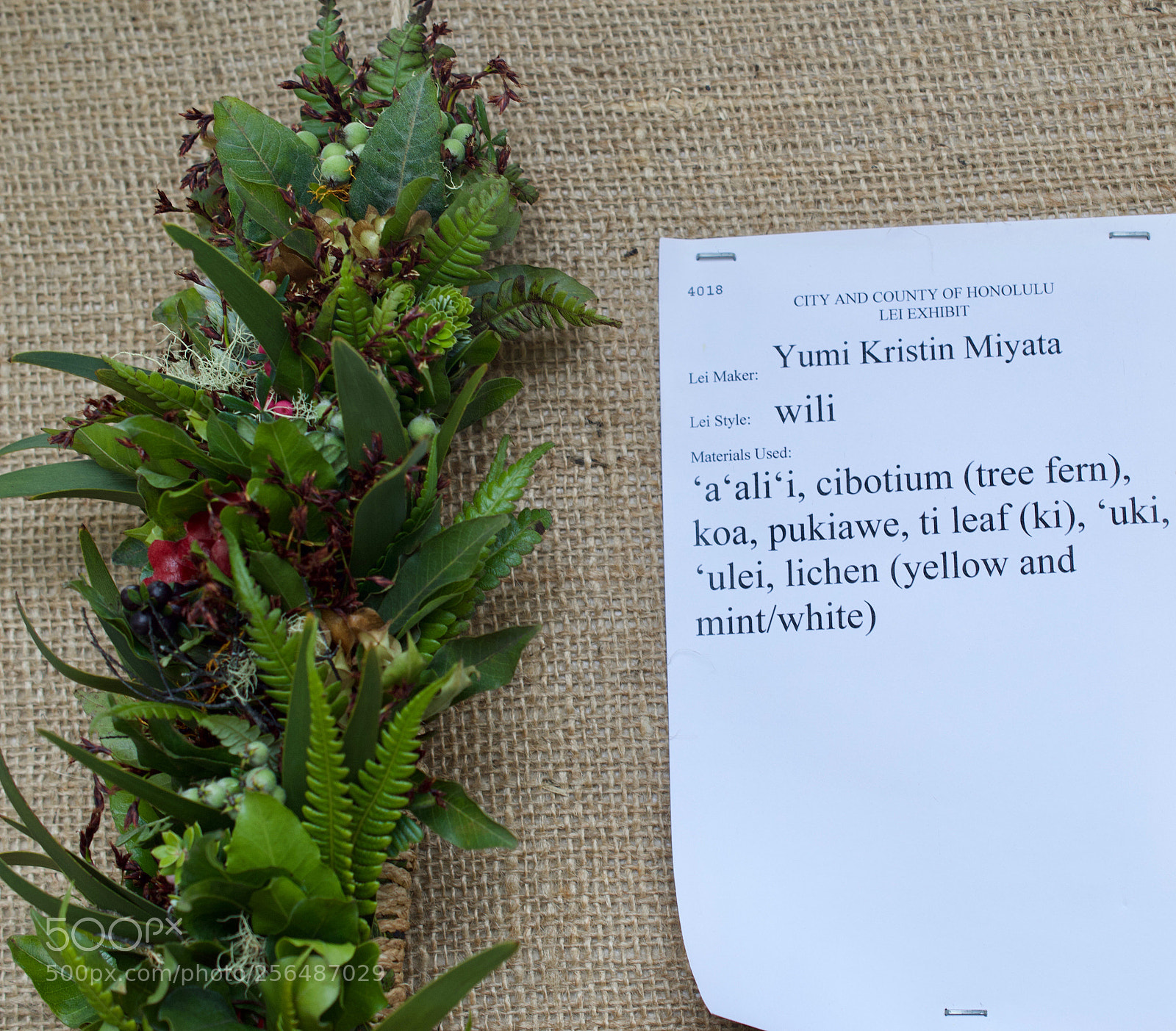 Nikon D3200 sample photo. May day is lei photography